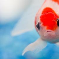 /photo/600451/老婆爱爱/pictures (2)_1_1_small.jpg